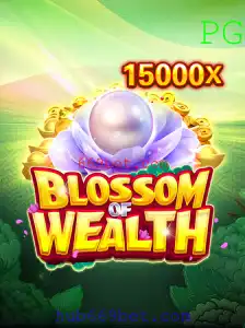 Explorando o Mundo Fascinante de BlossomofWealth: A Nova Sensação em 669bet.com